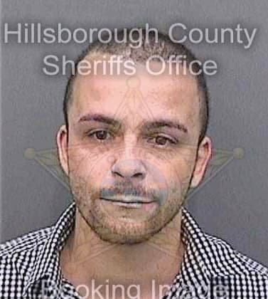 Lanza Joseph - Hillsborough County, FL 