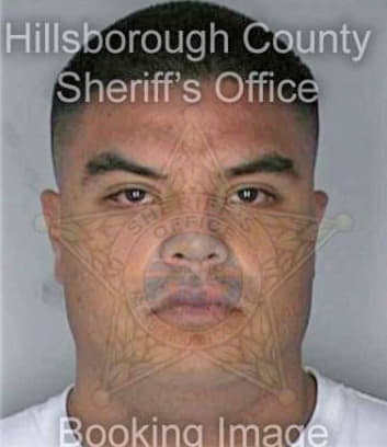 Mejia Miguel - Hillsborough County, FL 