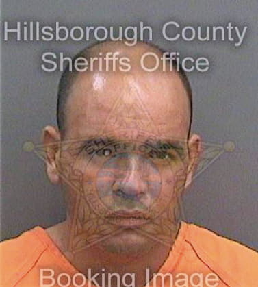 Diazgrueiro Alberto - Hillsborough County, FL 