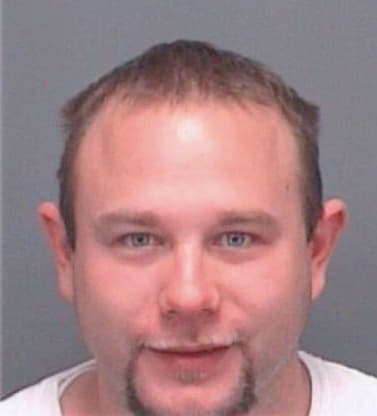 Perisic Srdjan - Pinellas County, FL 