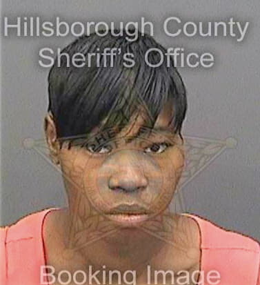 Nieves Akilah - Hillsborough County, FL 