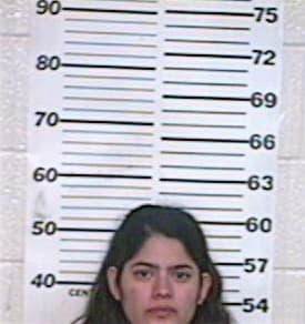 Hernandez Araceli - Hidalgo County, TX 