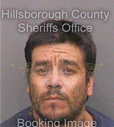 Delmontez Rojelio - Hillsborough County, FL 