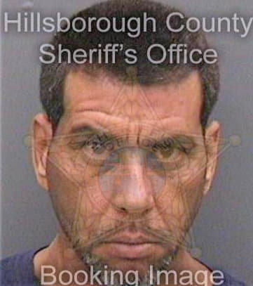 Diazdeleon Miguel - Hillsborough County, FL 