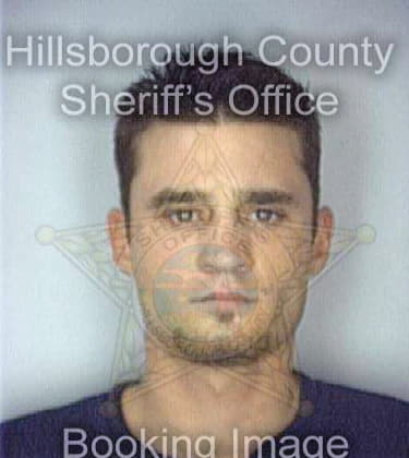 Gougeon James - Hillsborough County, FL 