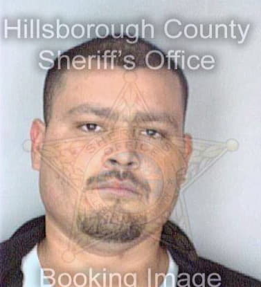 Quiles Jonas - Hillsborough County, FL 