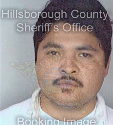 Rodriguez Edgar - Hillsborough County, FL 