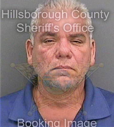 Hernandezlugo Harold - Hillsborough County, FL 