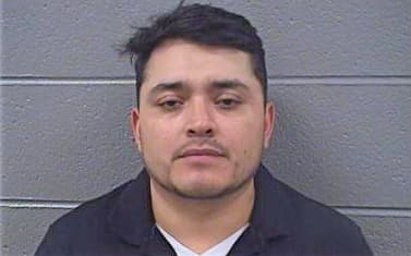 Reyes Jonathon - Cook County, IL 