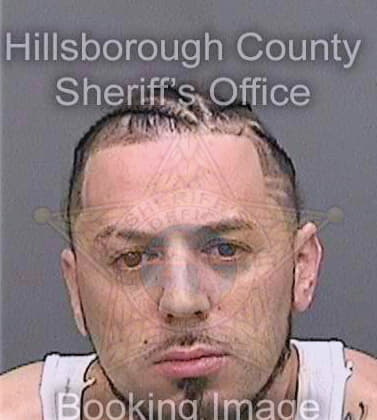 Jimenez Erick - Hillsborough County, FL 