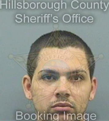 Martinezrojas Luis - Hillsborough County, FL 