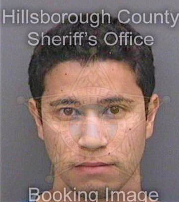 Perez Robert - Hillsborough County, FL 