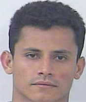 Freitas Gedelson - StLucie County, FL 