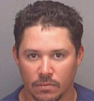 Rodriguez-Fernandez Jose - Pinellas County, FL 