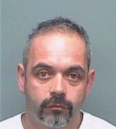 Hernandez Eduardo - Pinellas County, FL 