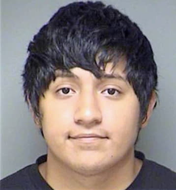 Aguirre Michael - Denton County, TX 