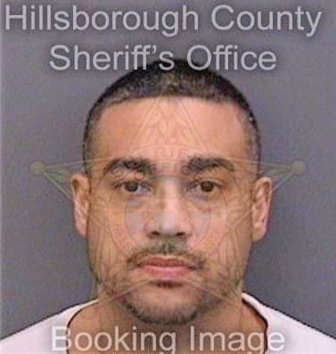 Cintron Steven - Hillsborough County, FL 