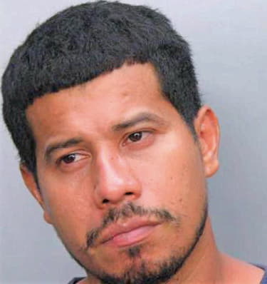 Rodriguez David - Dade County, FL 