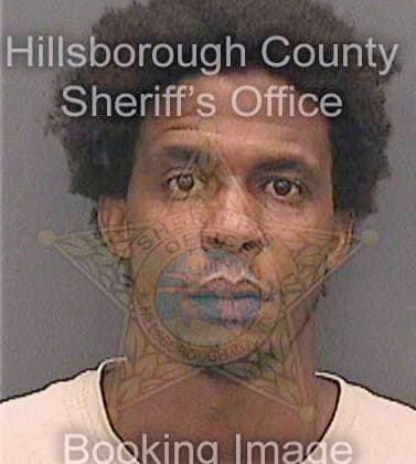 Tracy Aaron - Hillsborough County, FL 