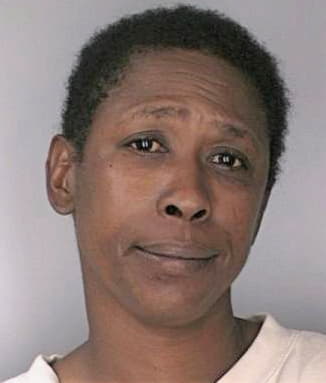 Mcmillan Paulette - Hillsborough County, FL 