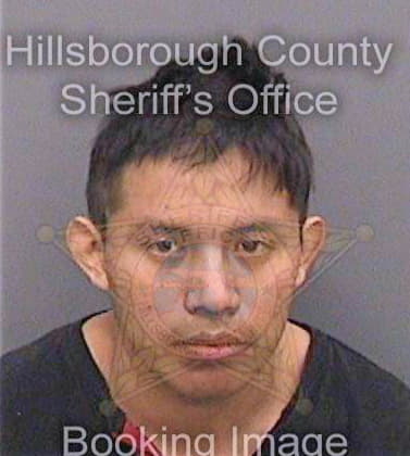 Ramirezsohom Nery - Hillsborough County, FL 