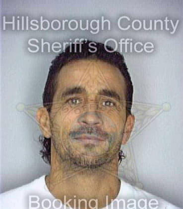 Maiquez Ernesto - Hillsborough County, FL 