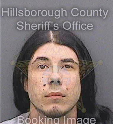 Sturdevant Miguel - Hillsborough County, FL 