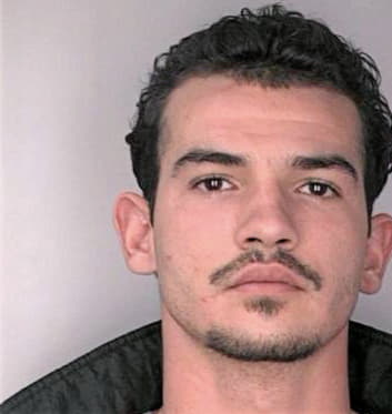 Mihai Daniel - Hillsborough County, FL 