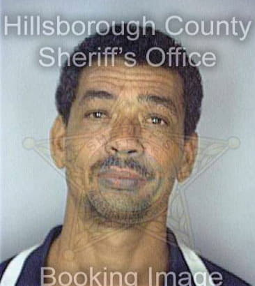 Martin Michael - Hillsborough County, FL 