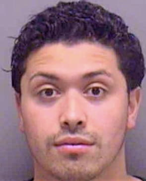 Gonzalez Samuel - Lee County, FL 