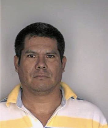 Gonzalez Pedro - Hillsborough County, FL 