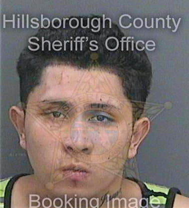 Juarez Alonzo - Hillsborough County, FL 