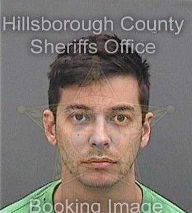 Pierson David - Hillsborough County, FL 