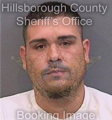 Diaz Michael - Hillsborough County, FL 