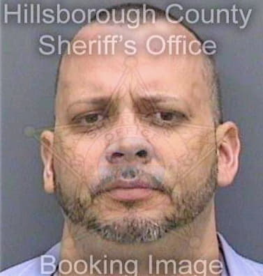 Vargas Horlando - Hillsborough County, FL 