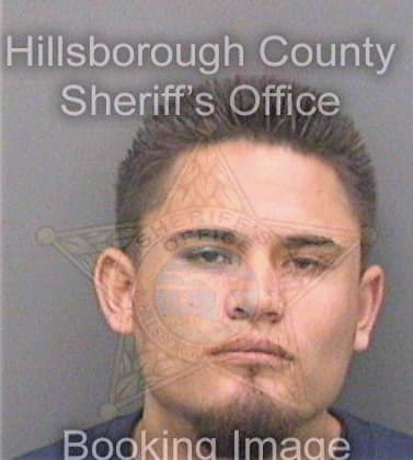 Ramirez Mario - Hillsborough County, FL 