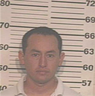 Hernandez Luis - Hidalgo County, TX 