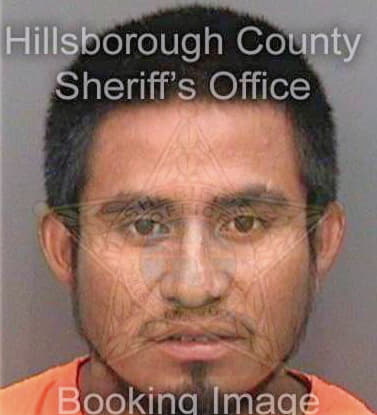 Gonzalez Jose - Hillsborough County, FL 