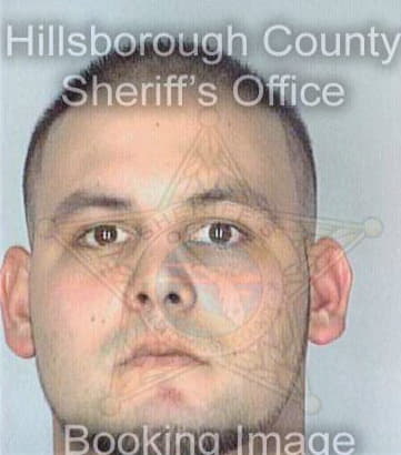 Defilippis Christopher - Hillsborough County, FL 