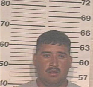 Zarate Enrique - Hidalgo County, TX 