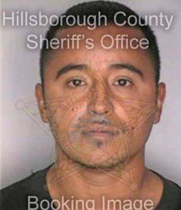 Garcia Juan - Hillsborough County, FL 