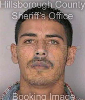 Silva Rolando - Hillsborough County, FL 