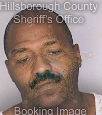 Bivens Clinton - Hillsborough County, FL 