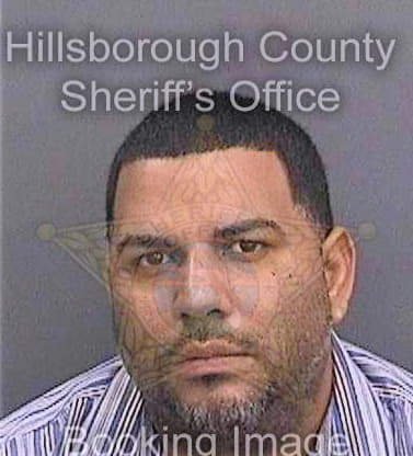 Bonilla Jeason - Hillsborough County, FL 