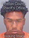 Clemons Vernell - Pinellas County, FL 