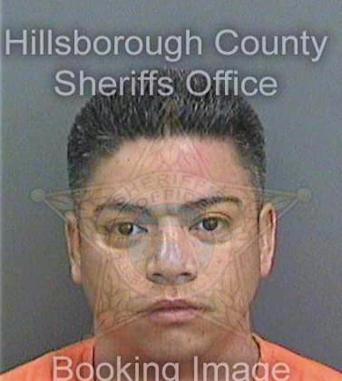 Vargasizquierdo Carlos - Hillsborough County, FL 