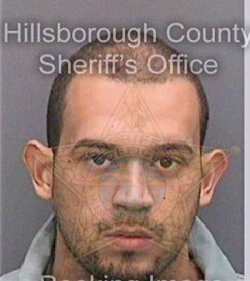 Martinez Benito - Hillsborough County, FL 