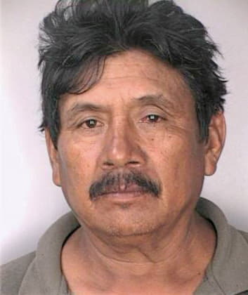 Mendoza Pedro - Hillsborough County, FL 