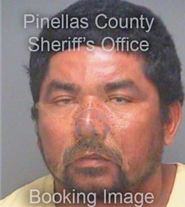 Espinozahernandez J - Pinellas County, FL 