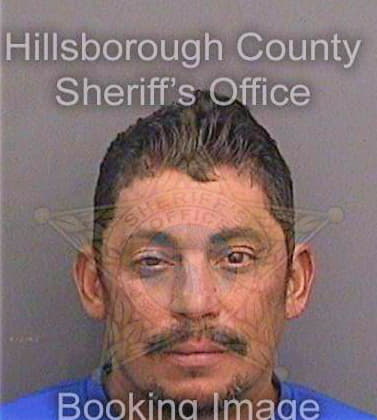 Ramosortiz Hipolito - Hillsborough County, FL 